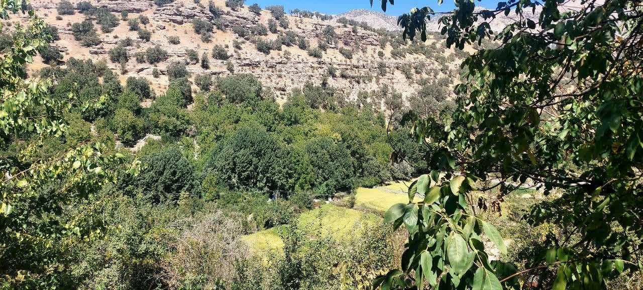 کلبه سنتی ننه پریناز