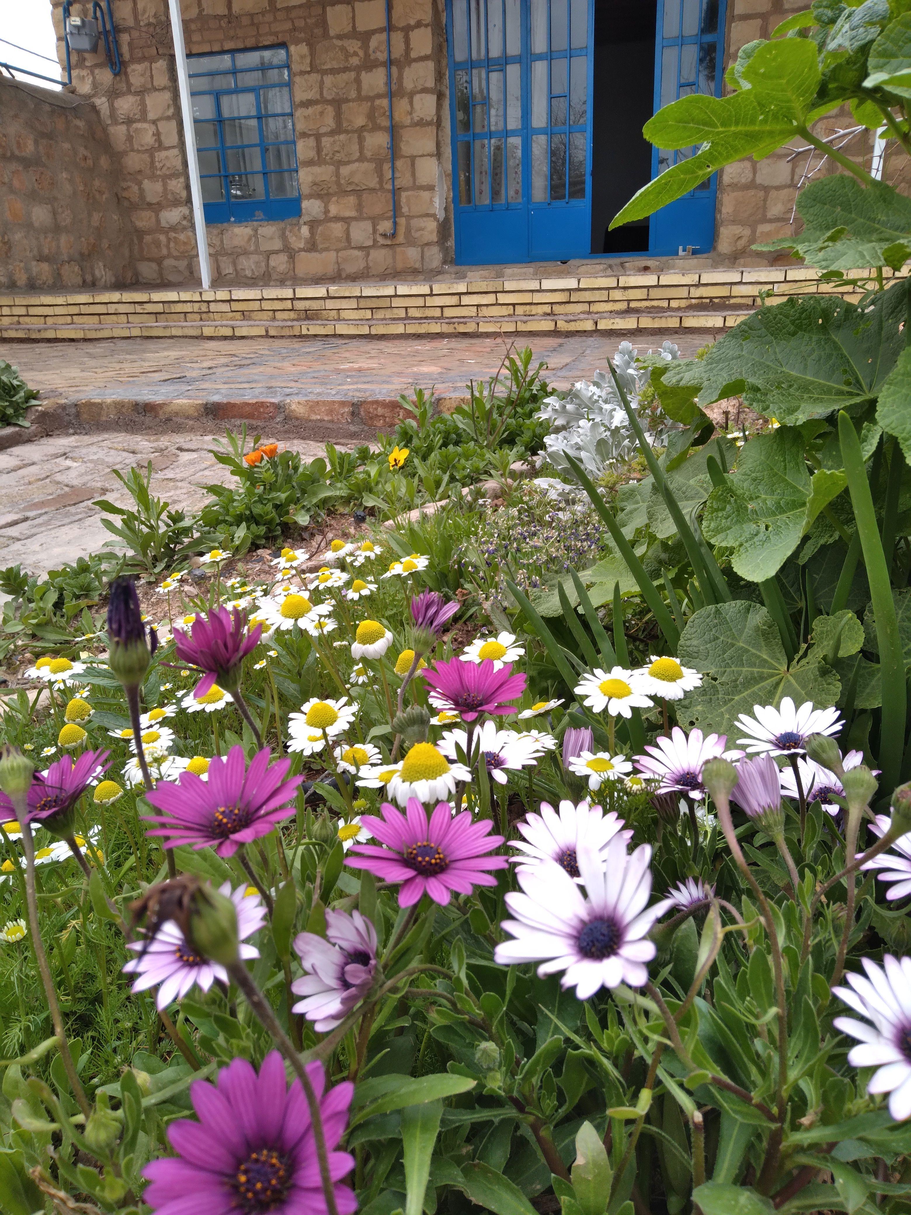 اقامتگاه بوم گردی دربست خانک