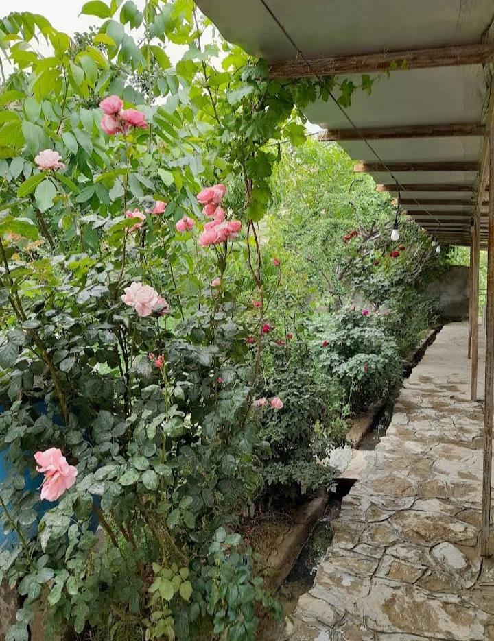 اقامتگاه بوم گردی براتیان