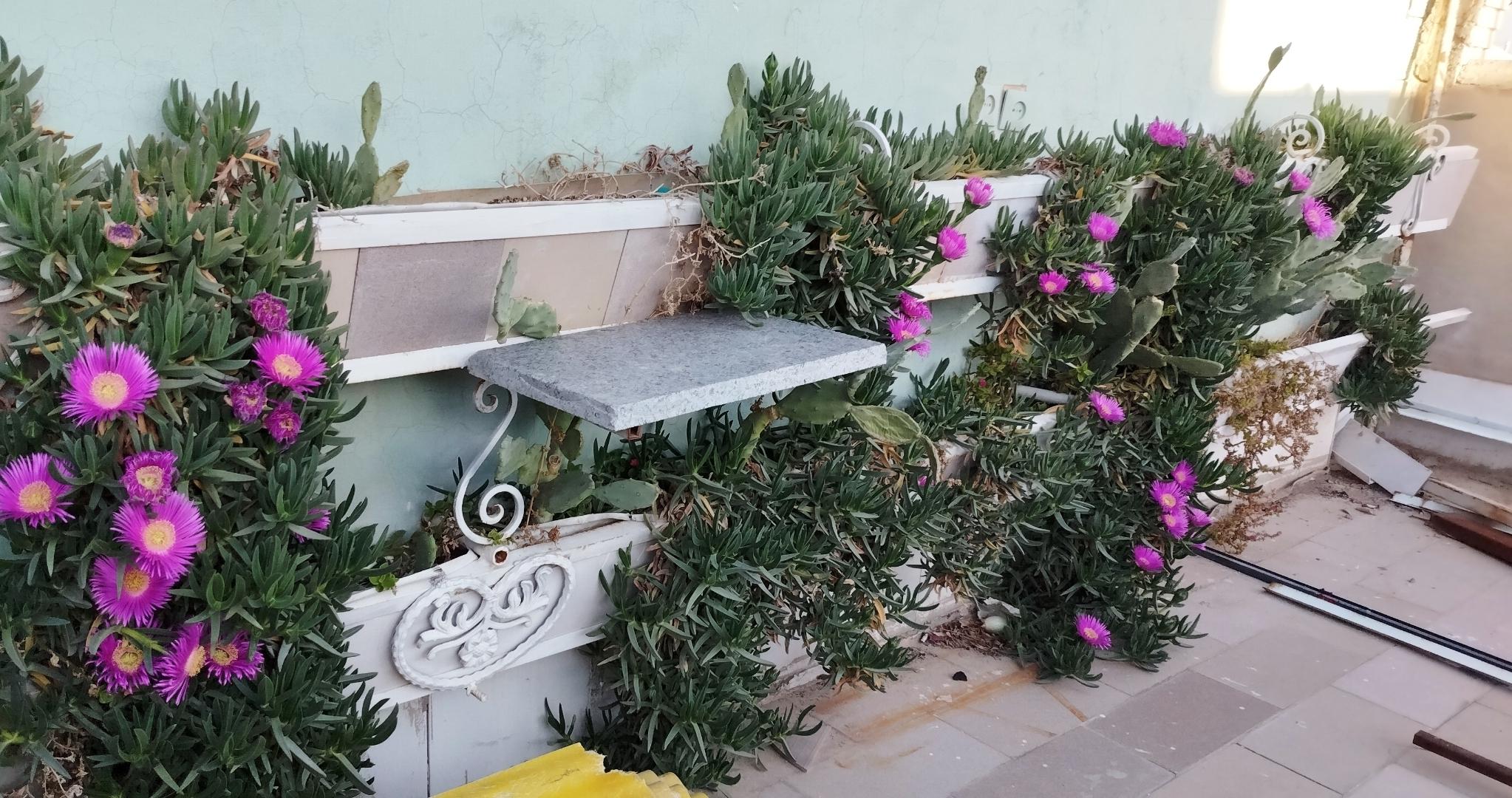 سوئیت سیما ۲