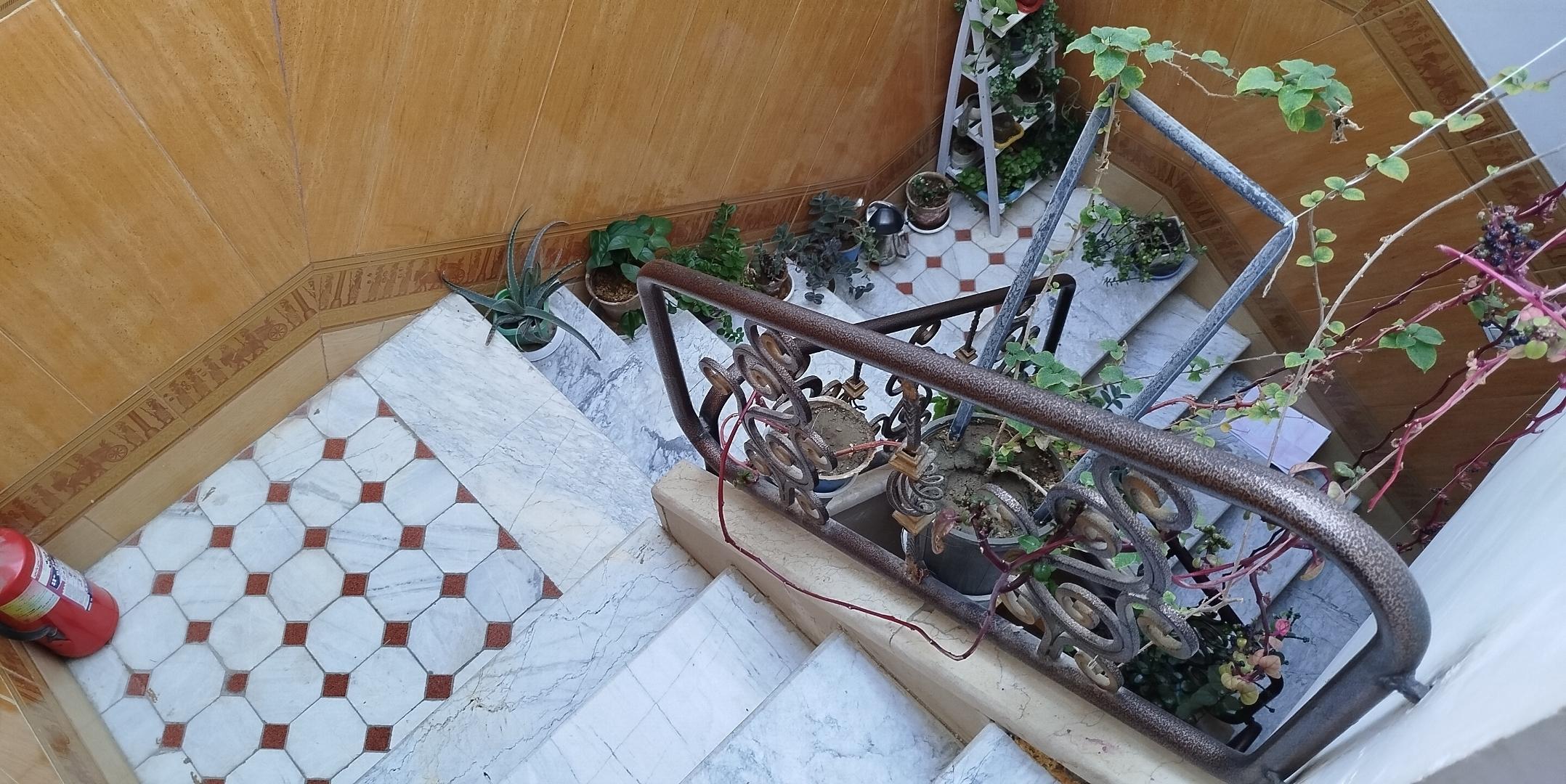سوئیت سیما ۲