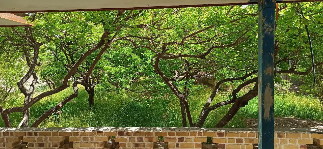 عمارت تخت طاووس در فردوس