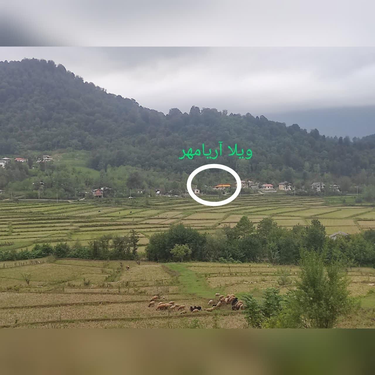 ویلا جنگلی آریامهر در ماسال