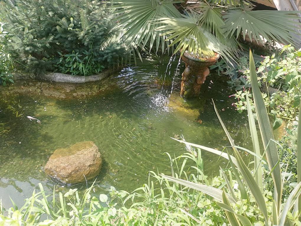 بوم گردی گیلک ده در لاهیجان