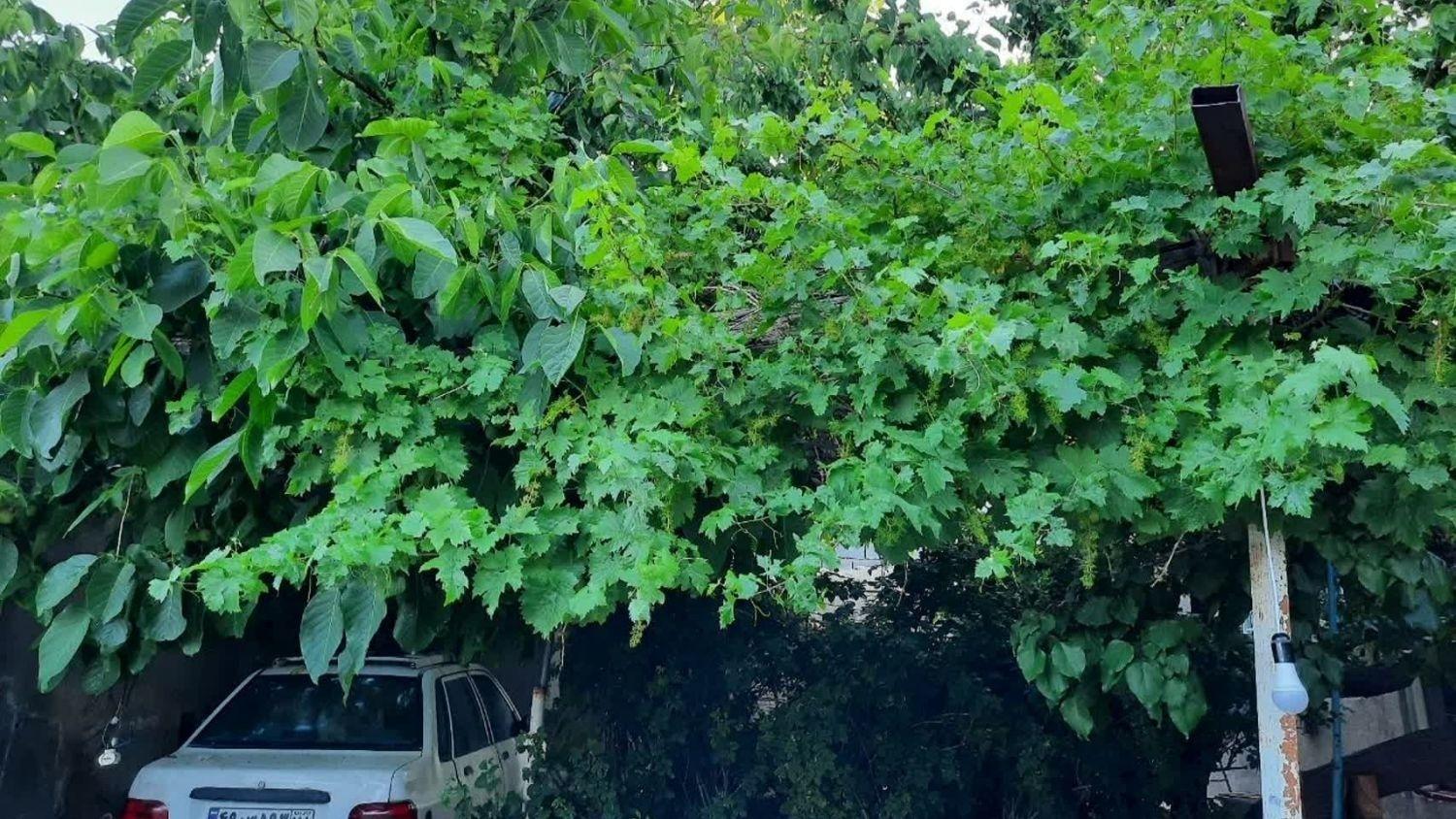 ویلای مبله در غار علیصدر