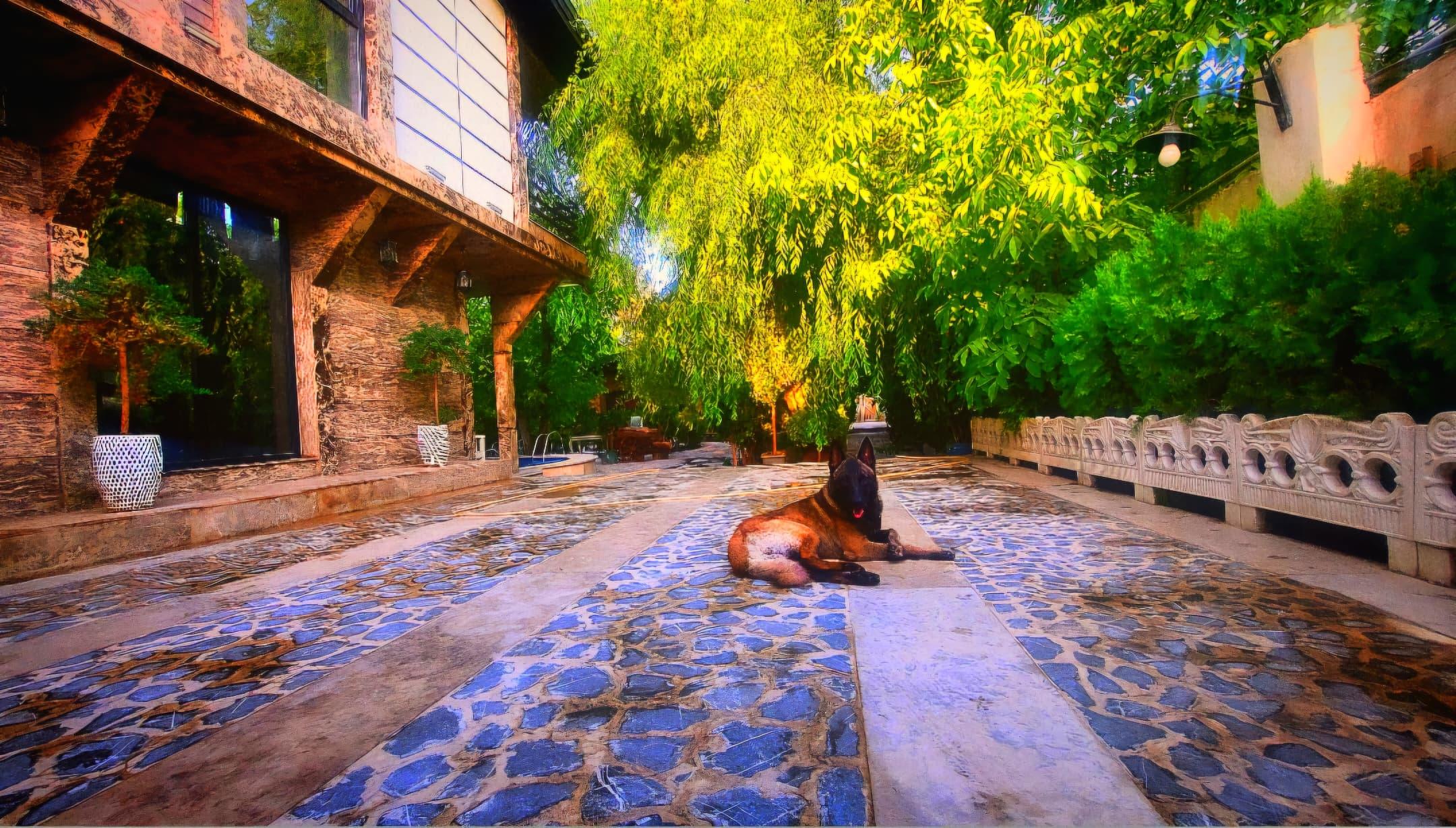 ویلا جنگلی 4 خواب در کردان