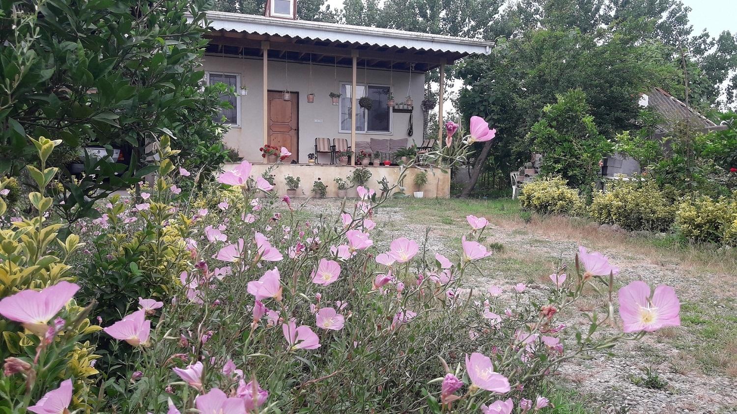 اقامتگاه روستایی مهران