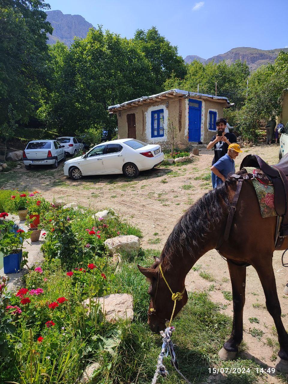 بومگردی سرین چشمه گل آخور
