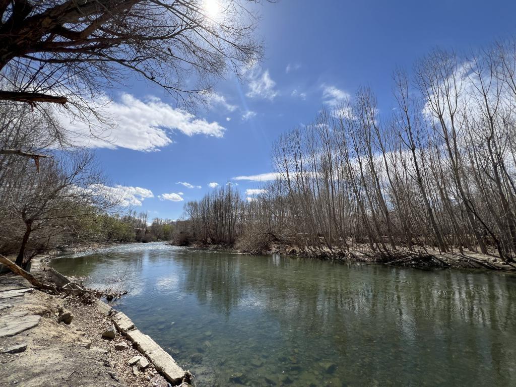  دوخوابه چناران پارک واحد 113