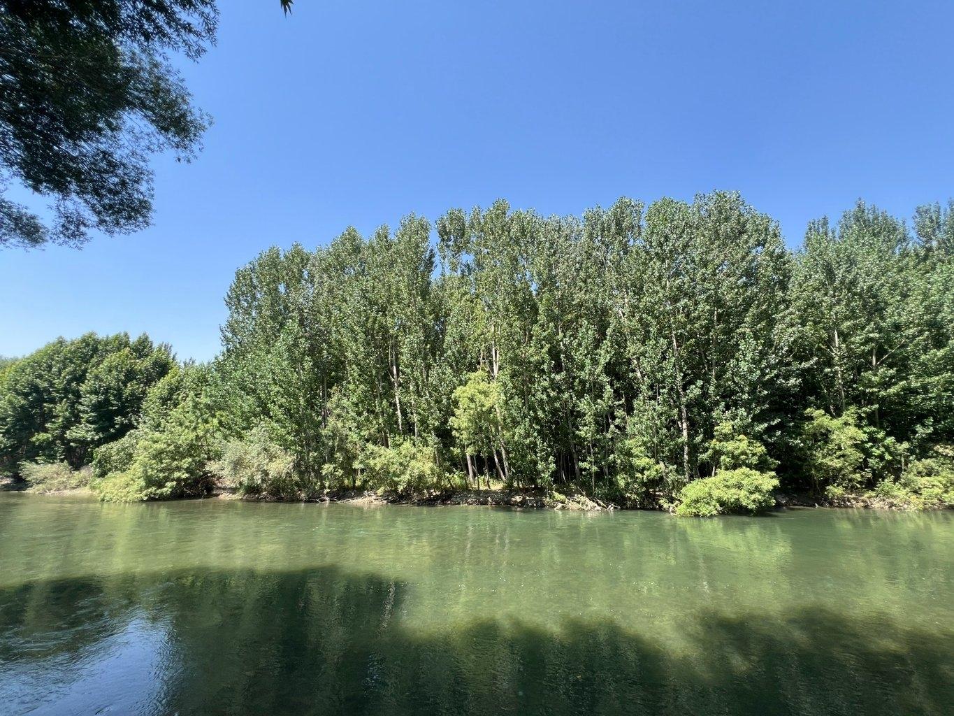  دوخوابه چناران پارک واحد 113