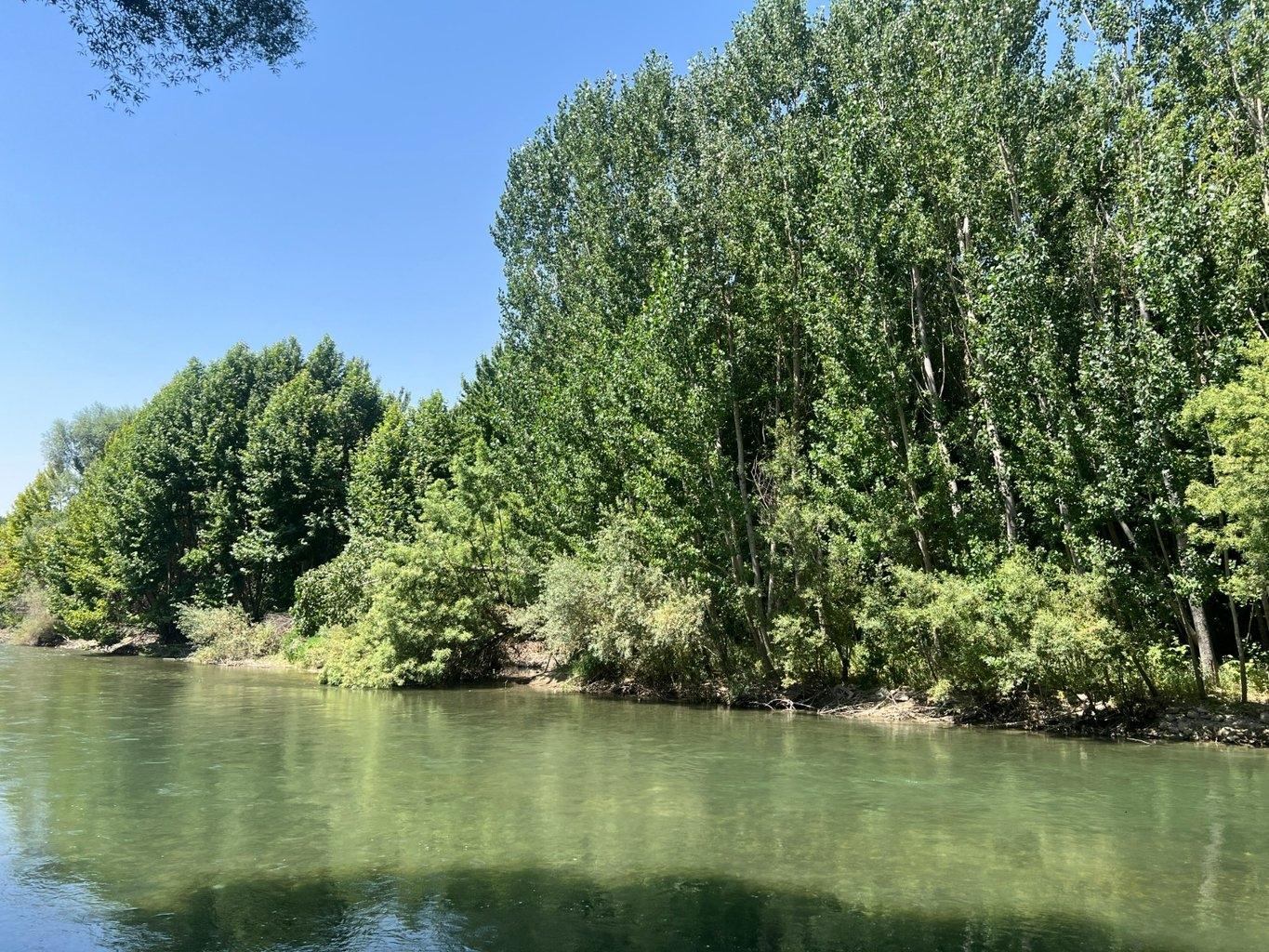  دوخوابه چناران پارک واحد 113
