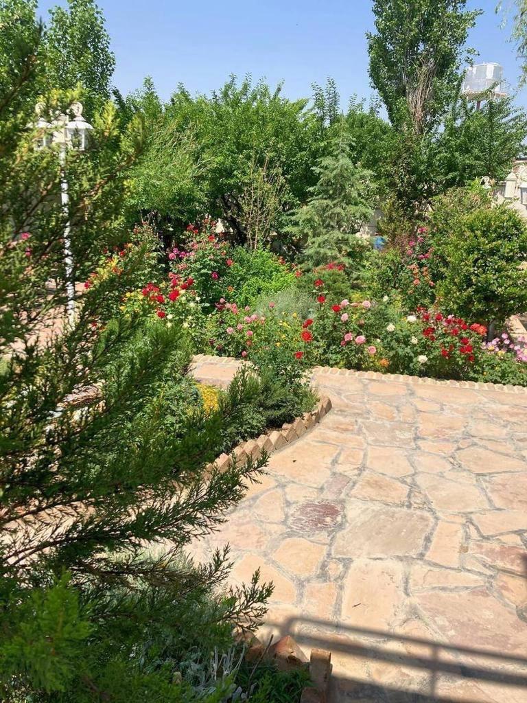 کلبه استخردار سوئیس لند 