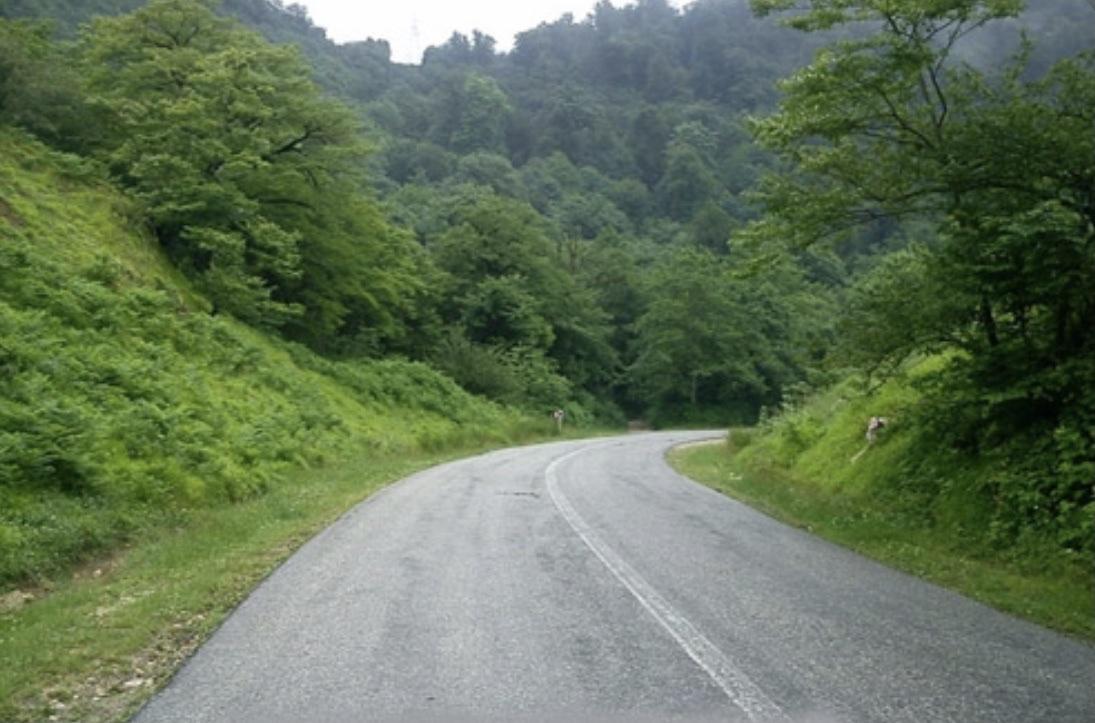 ویلای دوبلکس دربستی جنگلی روجا