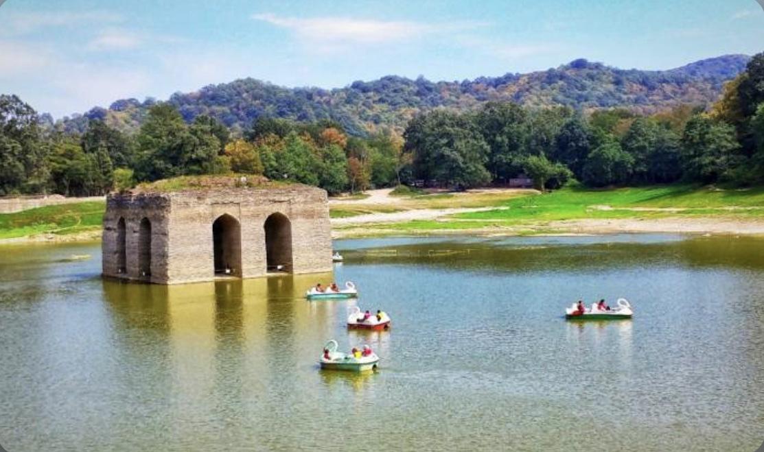 ویلای دوبلکس دربستی جنگلی روجا