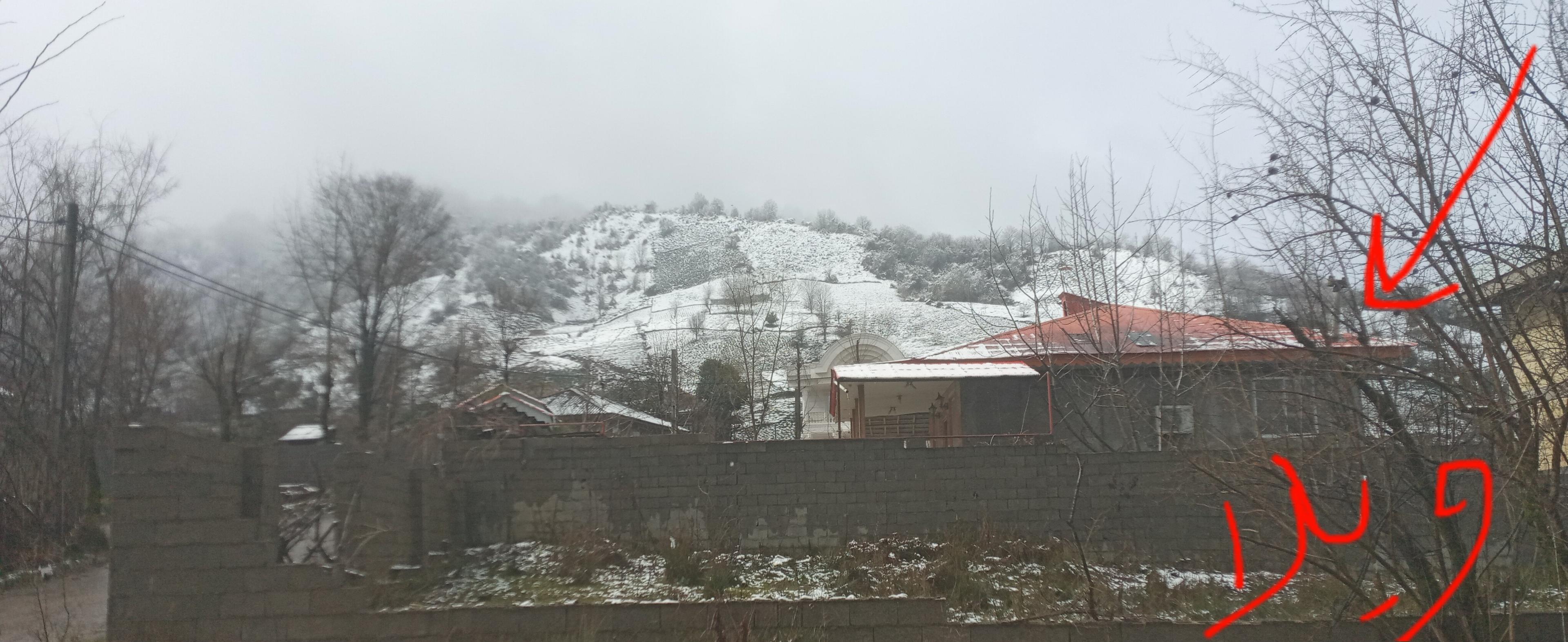 ویلا روستایی جنگلی شاملی