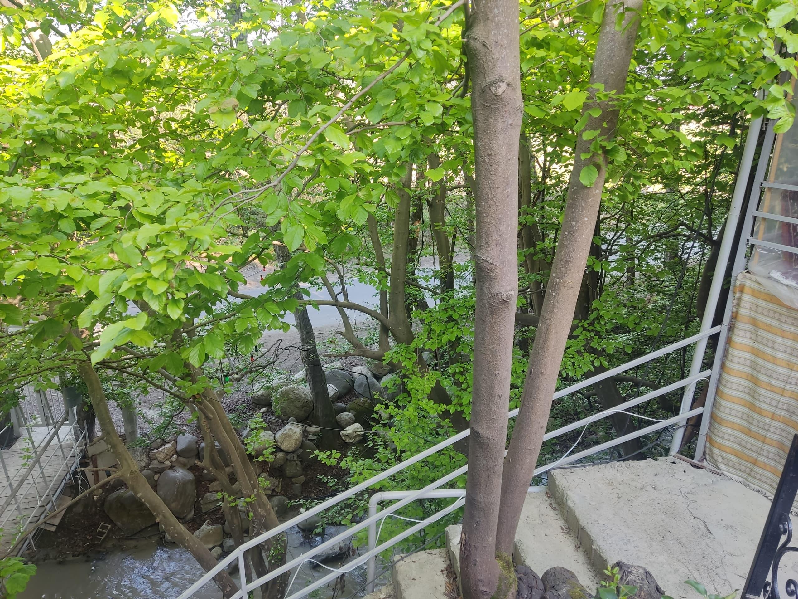  بومگردی دربند