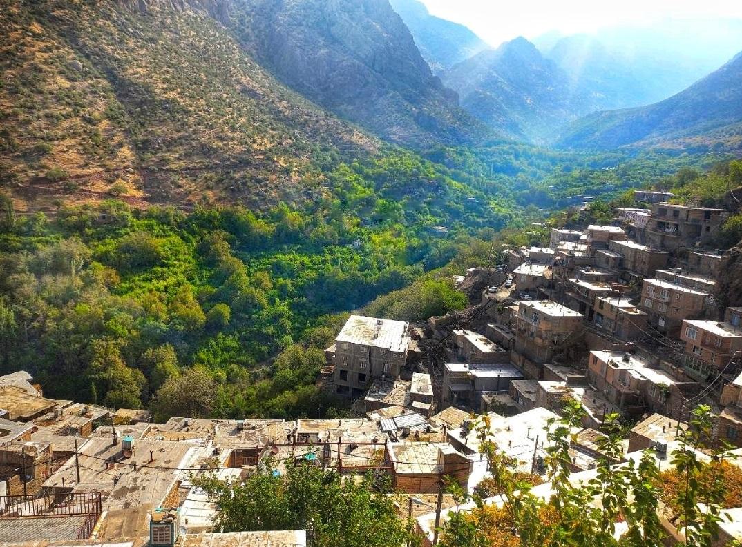 سوئیت رز در داریان