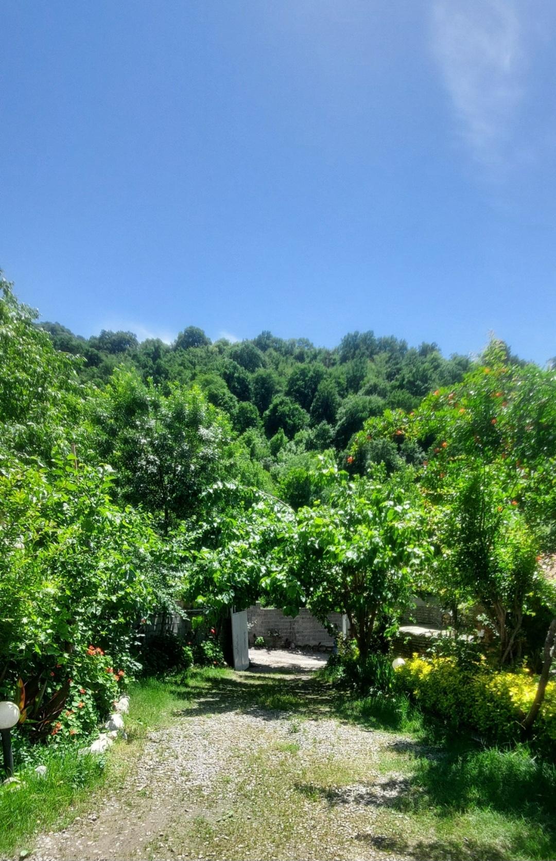 ویلای دو خوابه جنگلی 