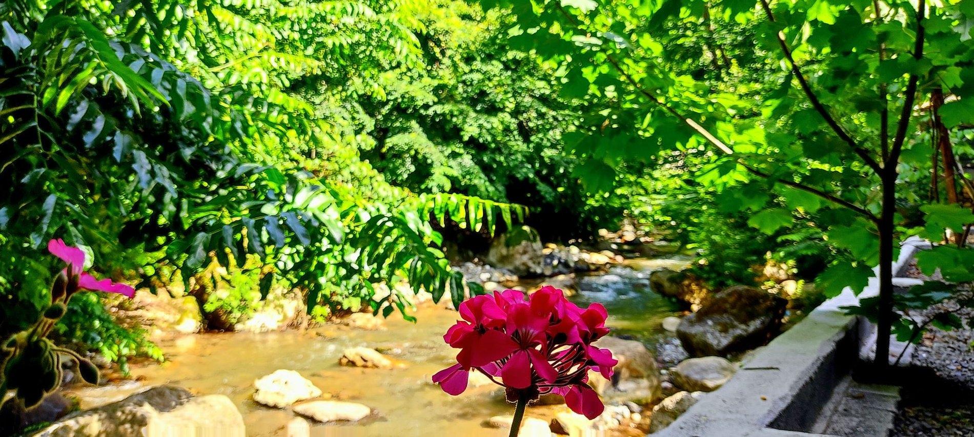 ویلا یک خوابه کنار رودخانه 
