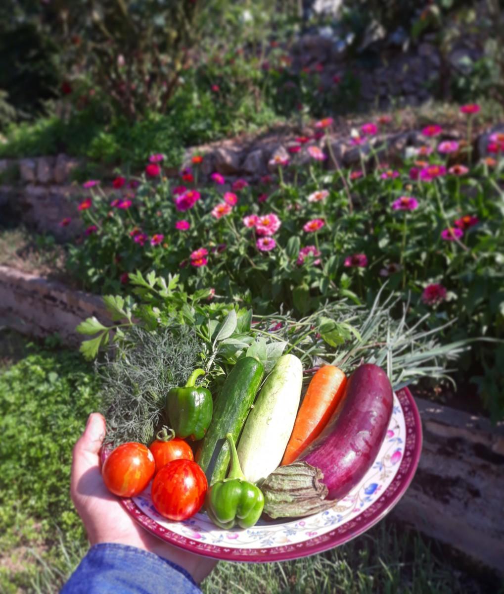 خانه بومی