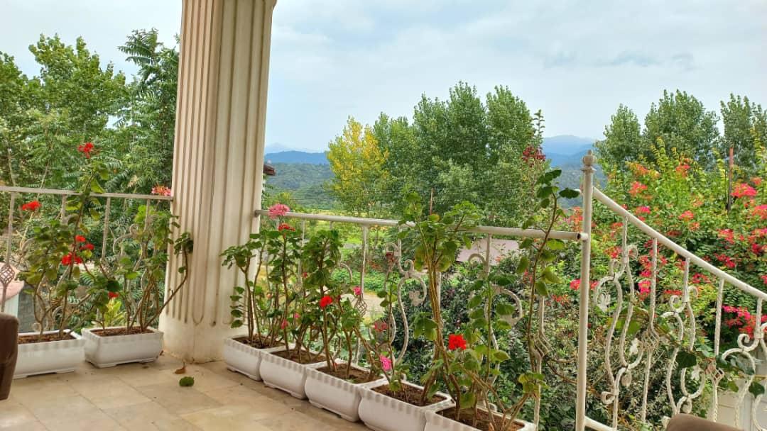 ویلای تکخواب جنگلی کوهستانی  