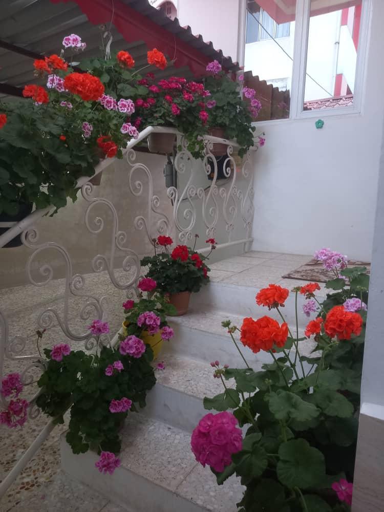 سوئیت دو خواب آستارا 