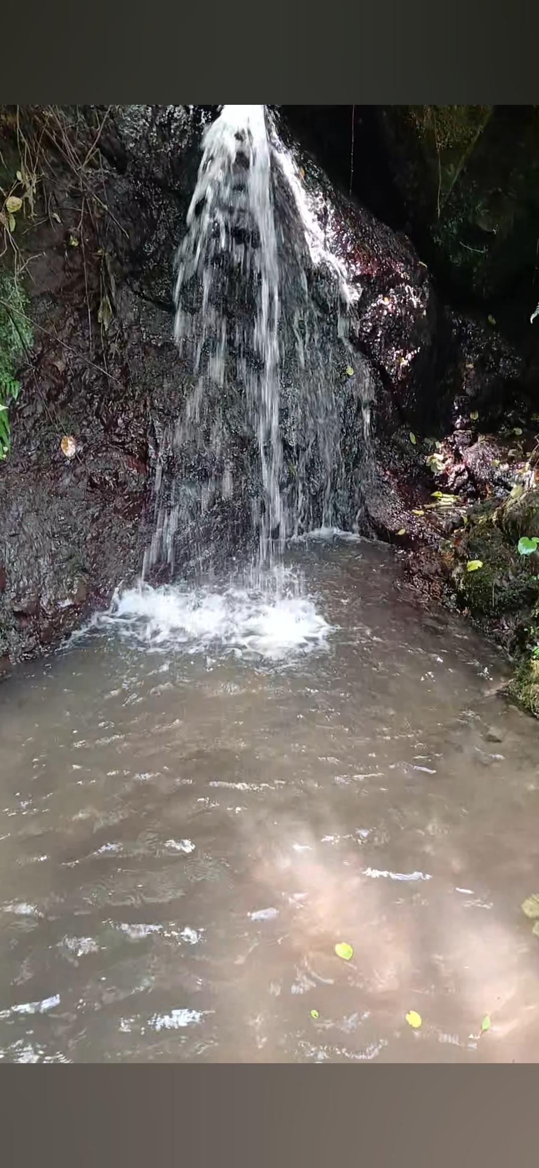 ویلای جنگلی گردنه حیران