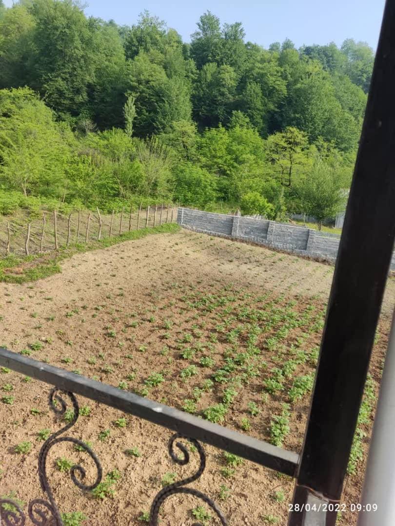 ویلای دو خواب جنگلی