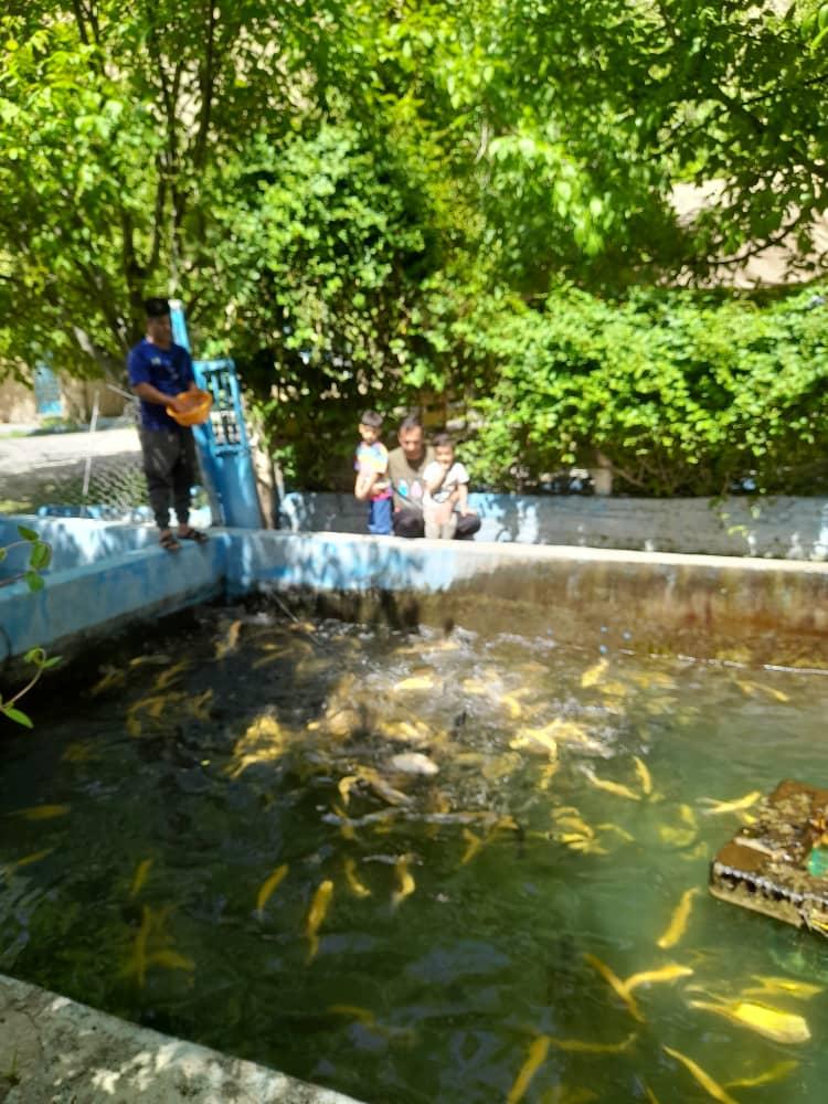 بومگردی عمو نعمت در کلات