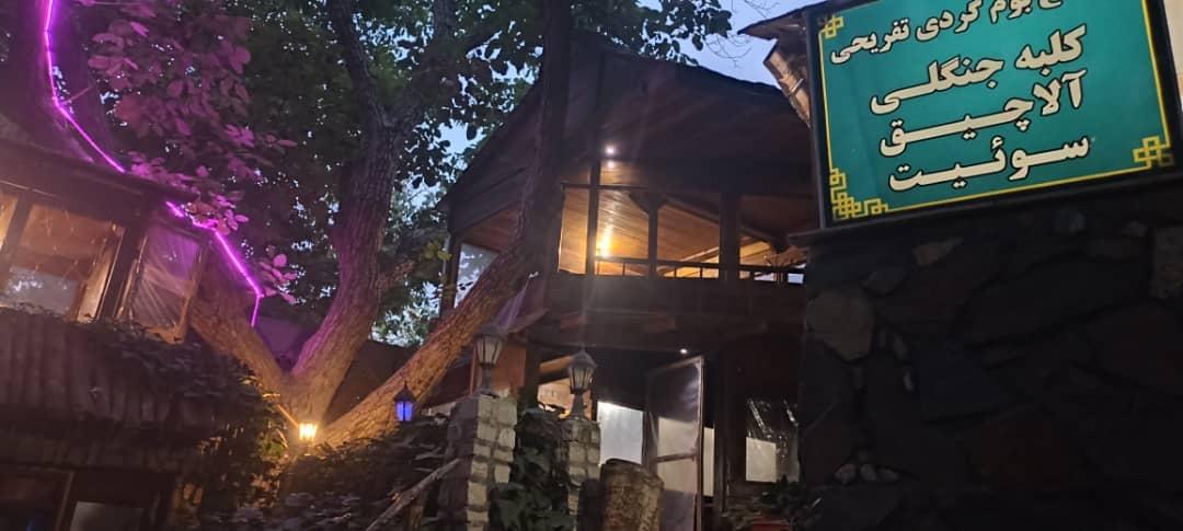 بومگردی جنگلی قلات 