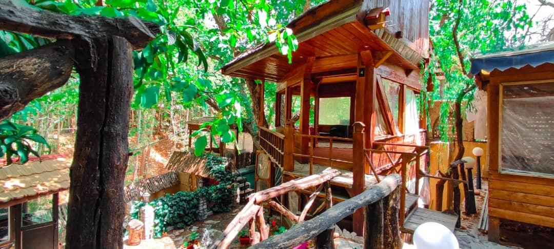 بومگردی جنگلی قلات 