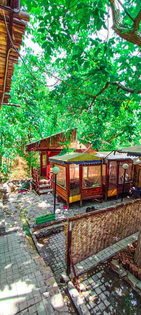 بومگردی جنگلی قلات 