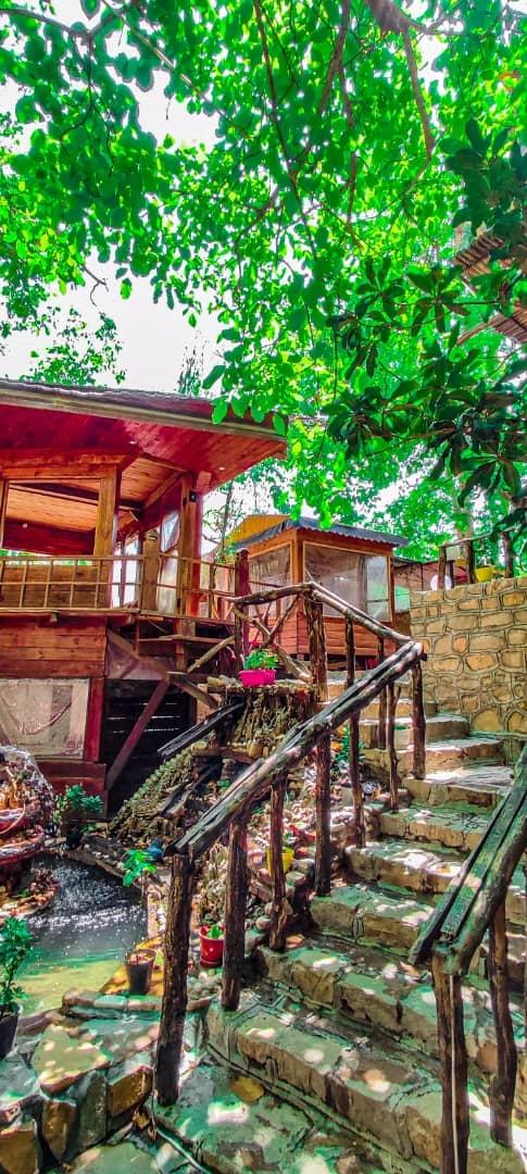 بومگردی جنگلی قلات 