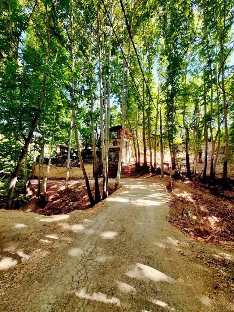 بومگردی جنگلی قلات 