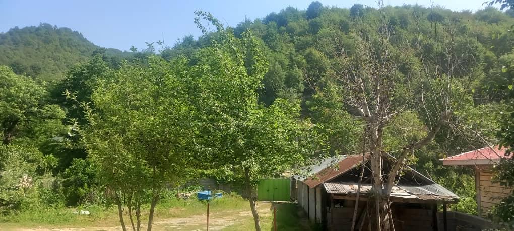 خانه ویلایی دو خواب سرسبز