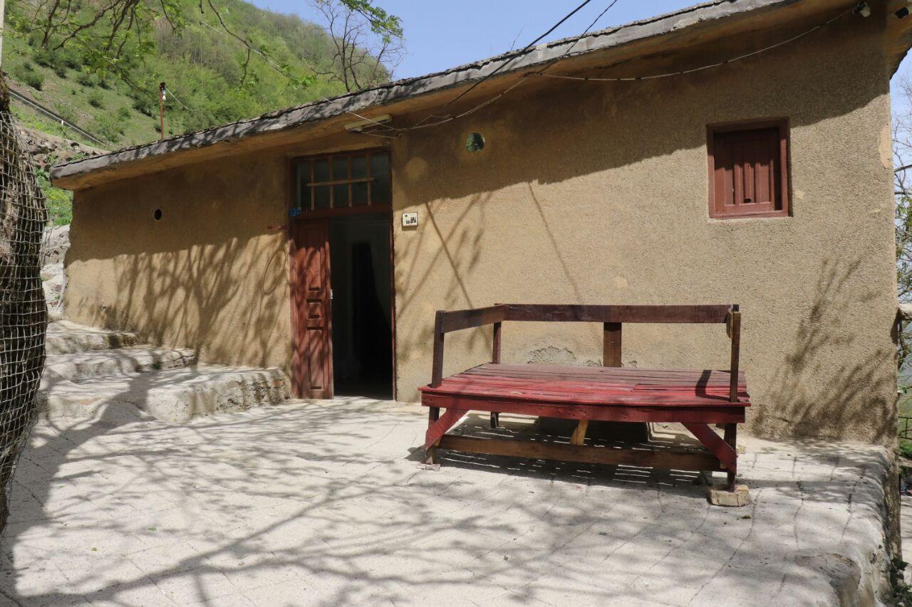 تک خوابه جنگلی