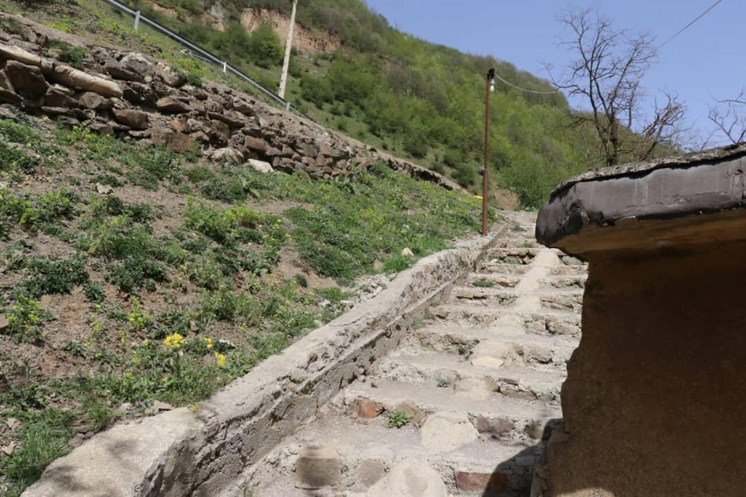 تک خوابه جنگلی