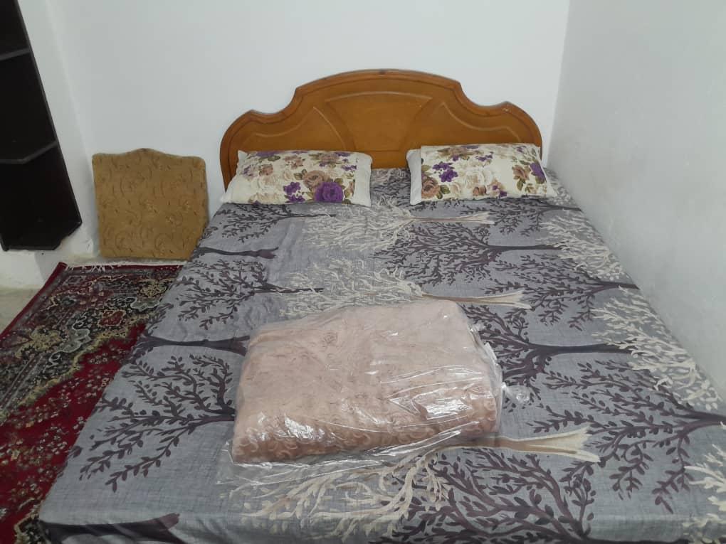 سوئیت جنگلی دربست