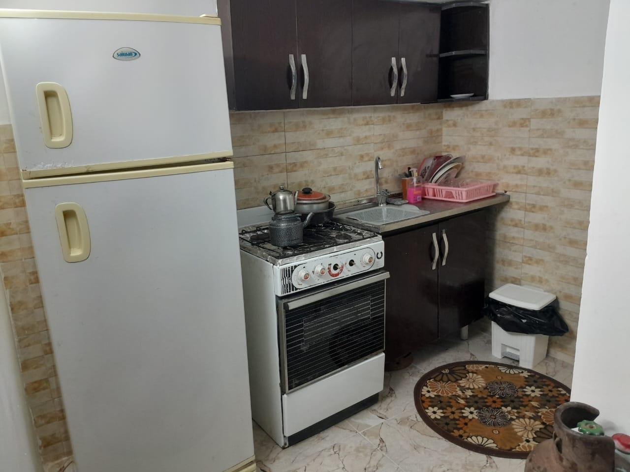 سوئیت جنگلی دربست