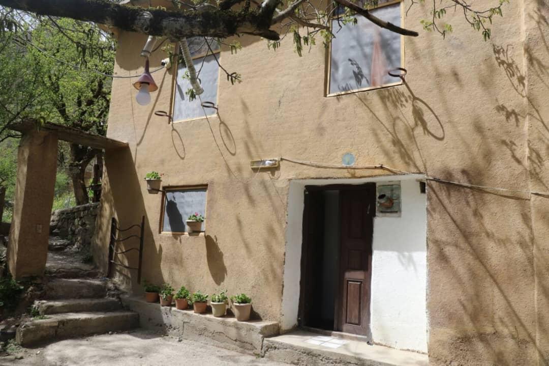 سوئیت جنگلی دربست