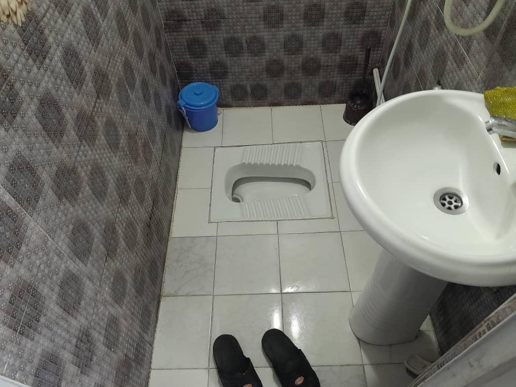 سوئیت جنگلی دربست