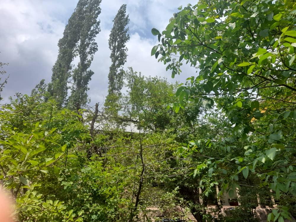خانه باغ سر سبز در طالقان