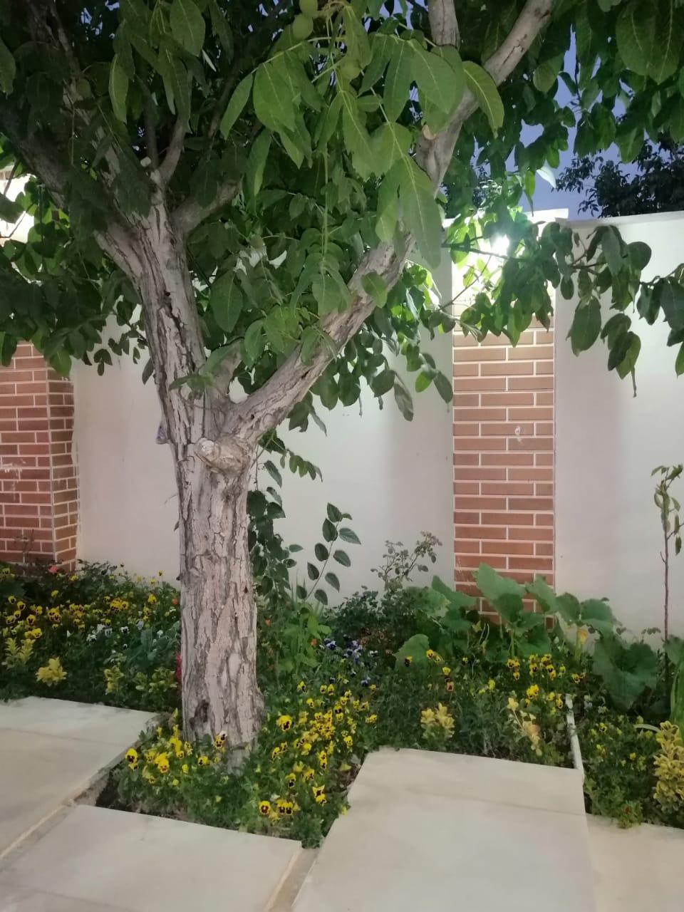 ویلای دو خواب استخردار ارغوان