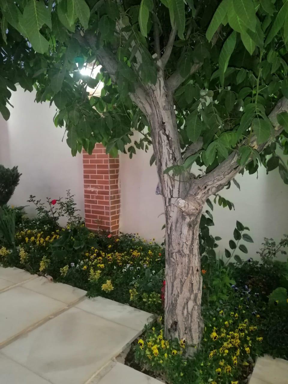 ویلای دو خواب استخردار ارغوان