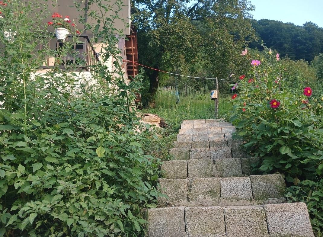 ویلای جنگلی گردنه حیران