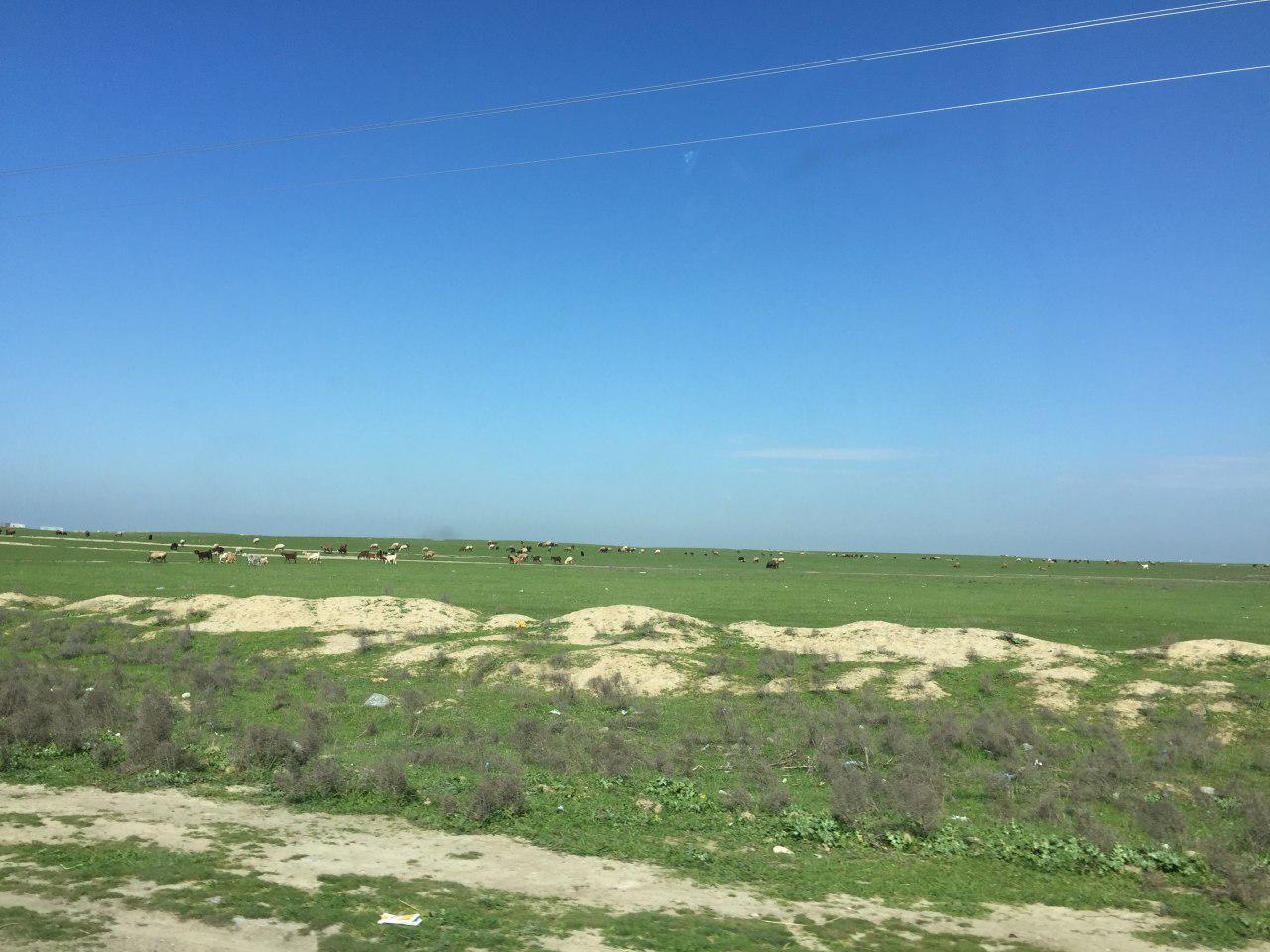 اتاق دهم
