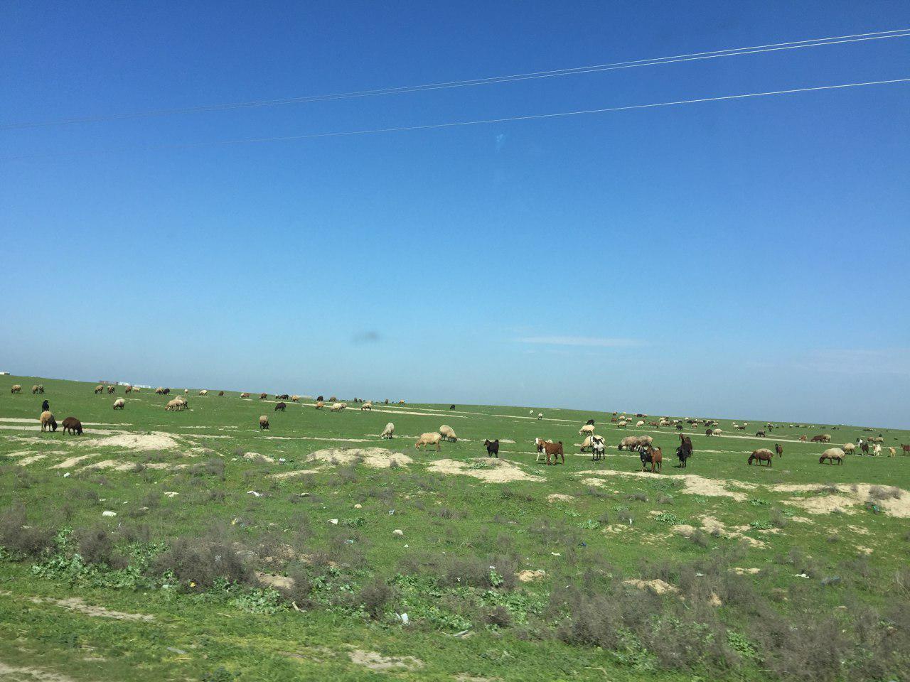 اتاق دهم