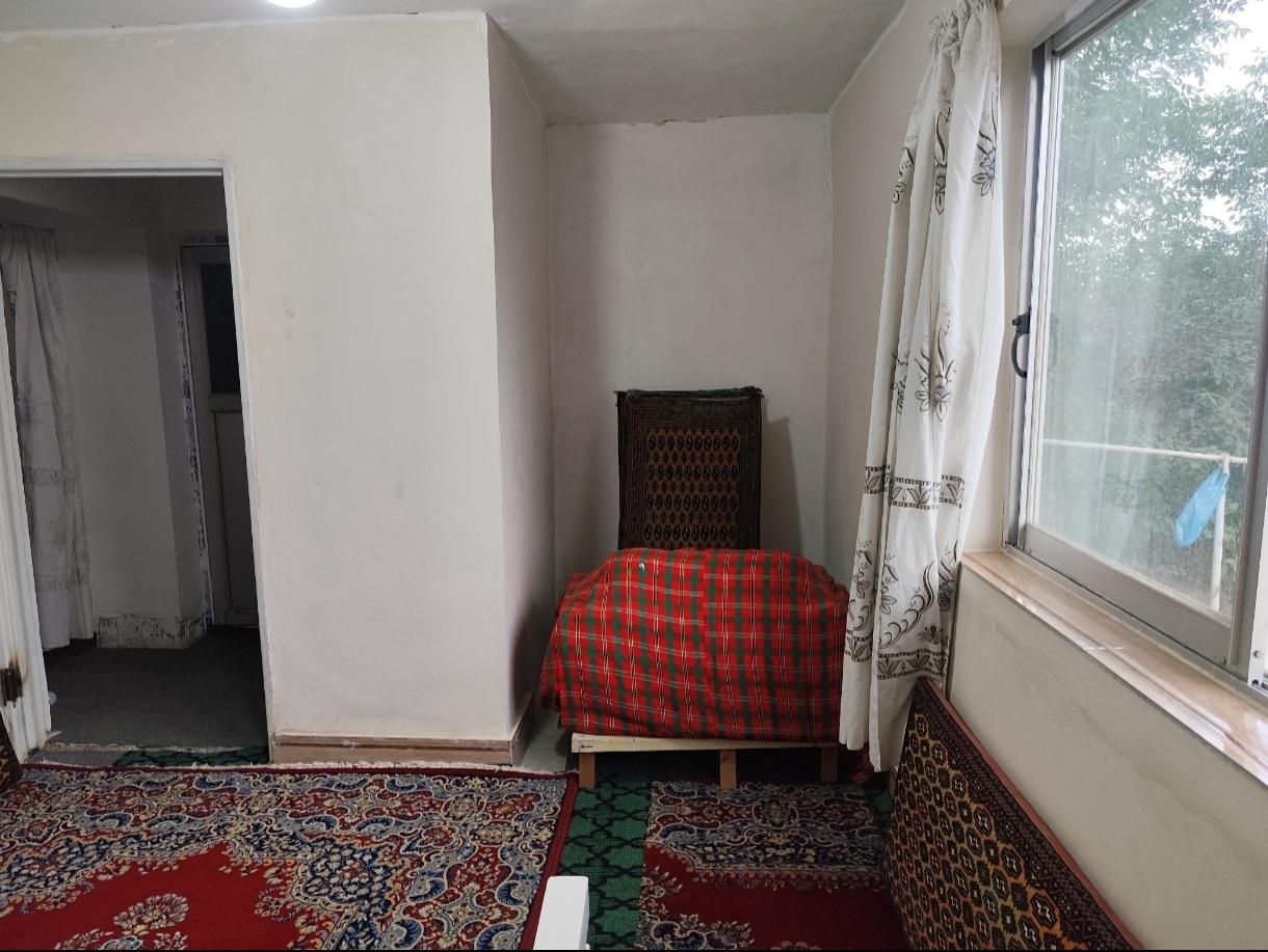 سوئیت روستایی جنگلی تک خوابه