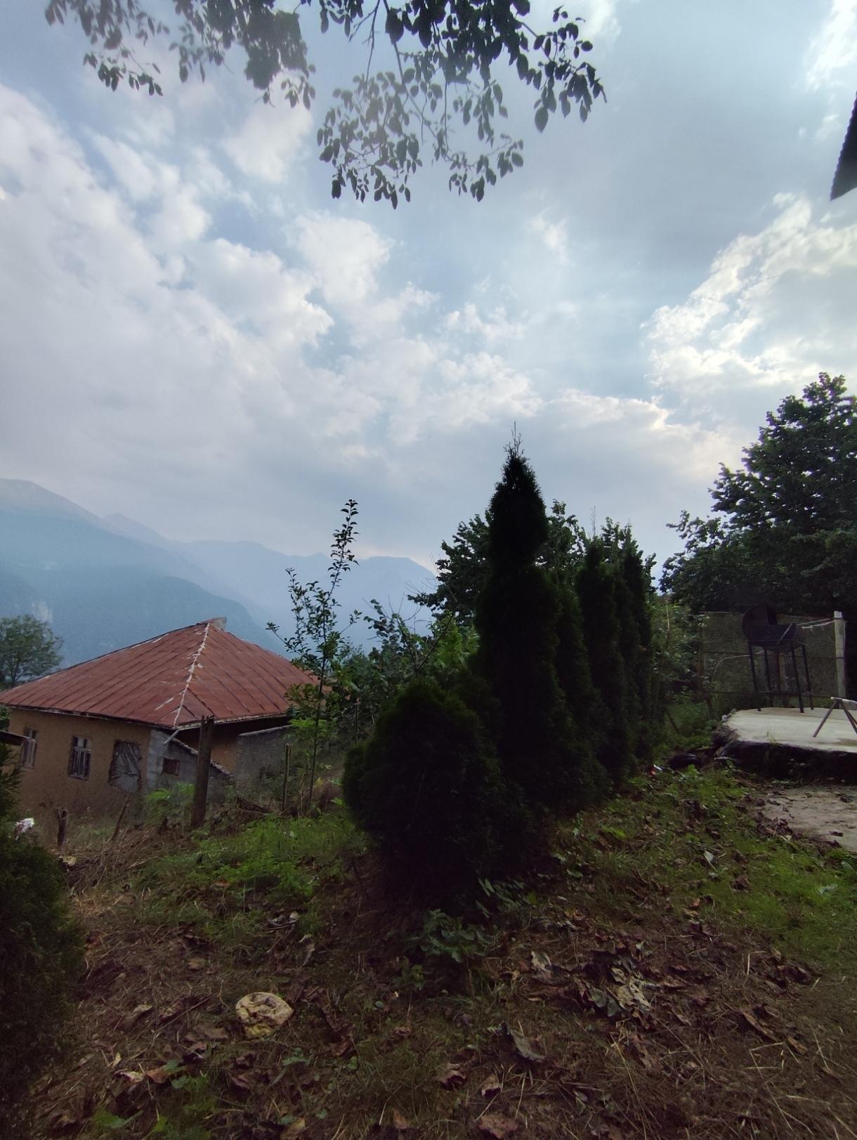 سوئیت روستایی جنگلی تک خوابه