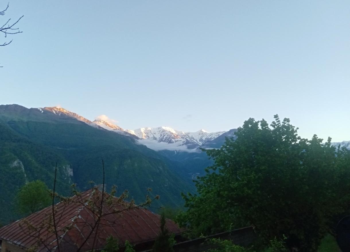 سوئیت روستایی جنگلی تک خوابه